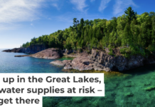 PFAS are now found in all of the Great Lakes, including Lake Superior, pictured. Mario Dias/iStock/Getty Images Plus